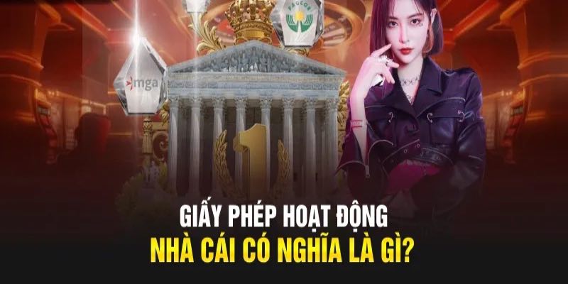 Sơ lược về giấy phép hoạt động