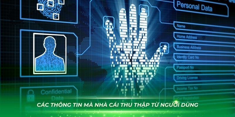 Các thông tin mà nhà cái thu thập từ người dùng